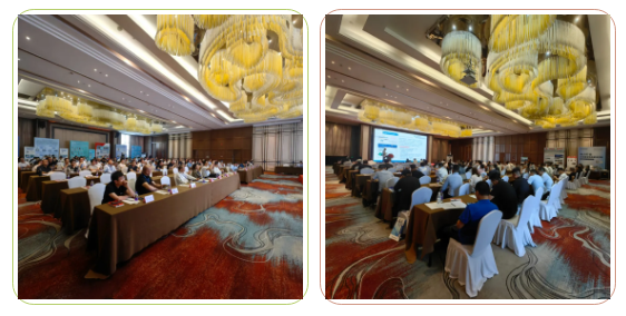 1750989653440125.png 1750989644184.png